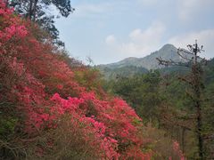 -木兰云雾山