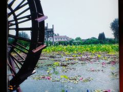 -陶辛水韵
