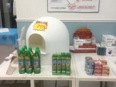 -纳吉亚猫专科动物医院·北北分院