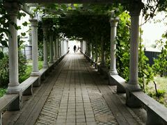 -沈阳音乐学院(长青校区)