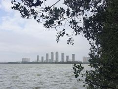 -燕鸣岛
