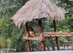 -云南野生动物园