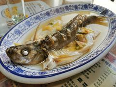 清蒸白水鱼-洞天食府(北大街店)