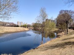 -蒲河岛湿地公园