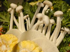 -椰子湾·海南火锅·糟粕醋·椰子鸡(正大广场店)