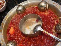 -大龙燚火锅(南山大道店)