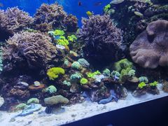 -珠海长隆海洋王国