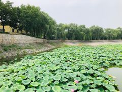 -北京天湖会议中心