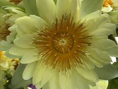 景点-上海长兴岛郊野公园