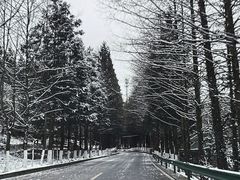 -山王坪喀斯特国家生态公园