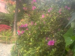 -阳光山水江湖菜馆(西山龙门店)