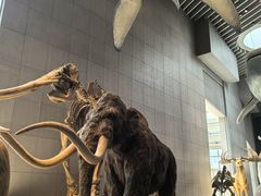 -Behring World of Animals(上海自然博物馆店)
