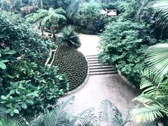 -南山植物园