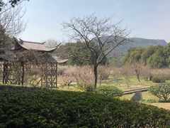 -白马涧龙池景区