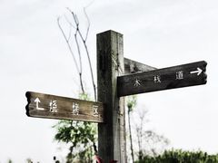 -春花秋色城市公园