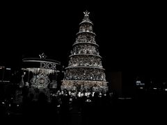 -香港皇家太平洋酒店