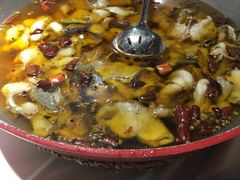 蜀龙阁水煮鱼-雲蜀龙阁·金牌水煮鱼(方庄店)