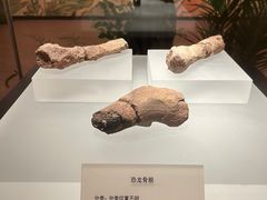 -贵州省地质博物馆