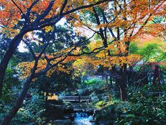-中国茶叶博物馆(双峰馆区)