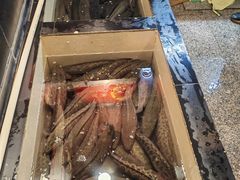 -百岁鱼(人民路店)