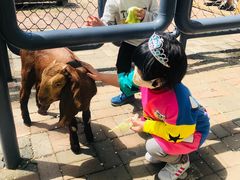 -长白岛森林公园