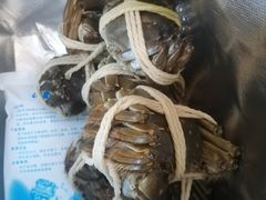 -阳澄湖大闸蟹·琼灵阁牌品牌连锁(吴中总店)