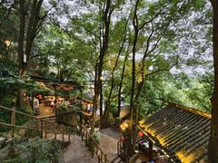 -巴倒烫陆派火锅山庄(南山总店)