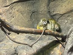 -波塞冬海底世界