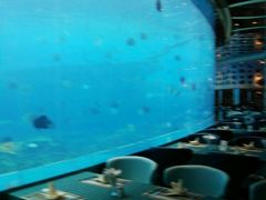 -瑞德姆美人鱼海底演艺主题餐厅(亚龙湾店)
