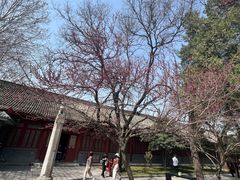 -西安碑林博物馆