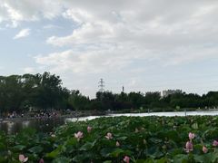 -太阳宫公园