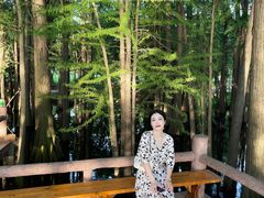 -东湖落雁景区