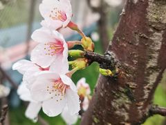 -幕燕滨江·长江观音景区