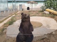 -龙口动植物园