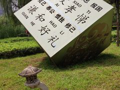 -木塔寺遗址生态公园