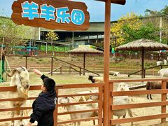 -盈香心动乐园