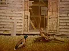 -金泽21世纪美术馆