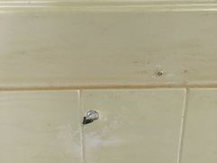 -佰丽爱家全屋定制(汶水店)