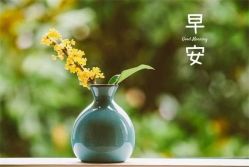 -香薇妮丝女子减肥院
