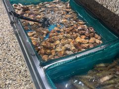 -初色海鲜自助(万丰路店)