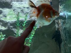 -苏州海洋馆