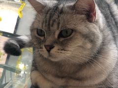 -平行世界·猫咖(首经贸店)