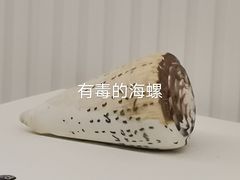 -青岛贝壳博物馆