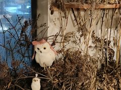 -野草莓自由市场