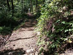 -天女山森林公园