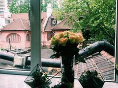 -蝶舍·MAISON PAPILLON