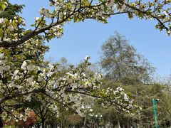 -江南大学(蠡湖校区)