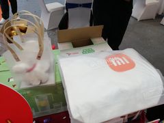 -南宁国际会展中心(会展东博文化旅游区)