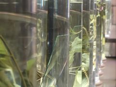 -广东中医药博物馆