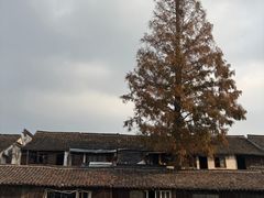 -乌镇东栅景区